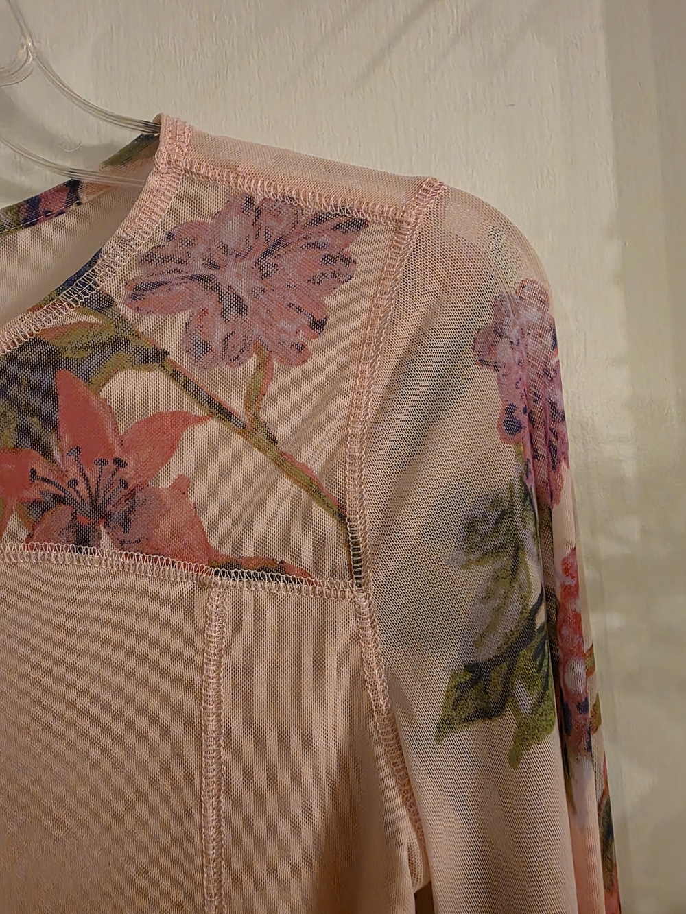 Free People Soft Pink Floral Mesh Long Sleeve Top - Picture 2 of 9